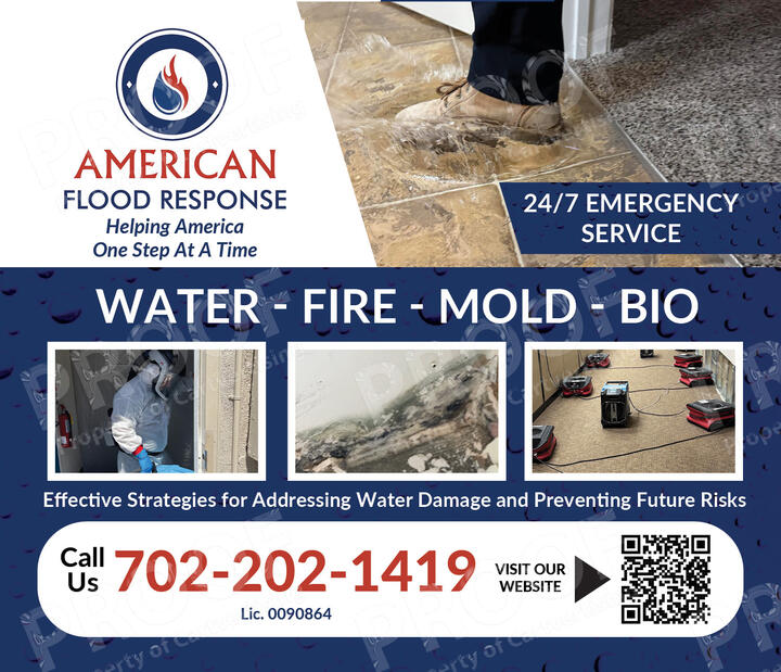 American Flood Response