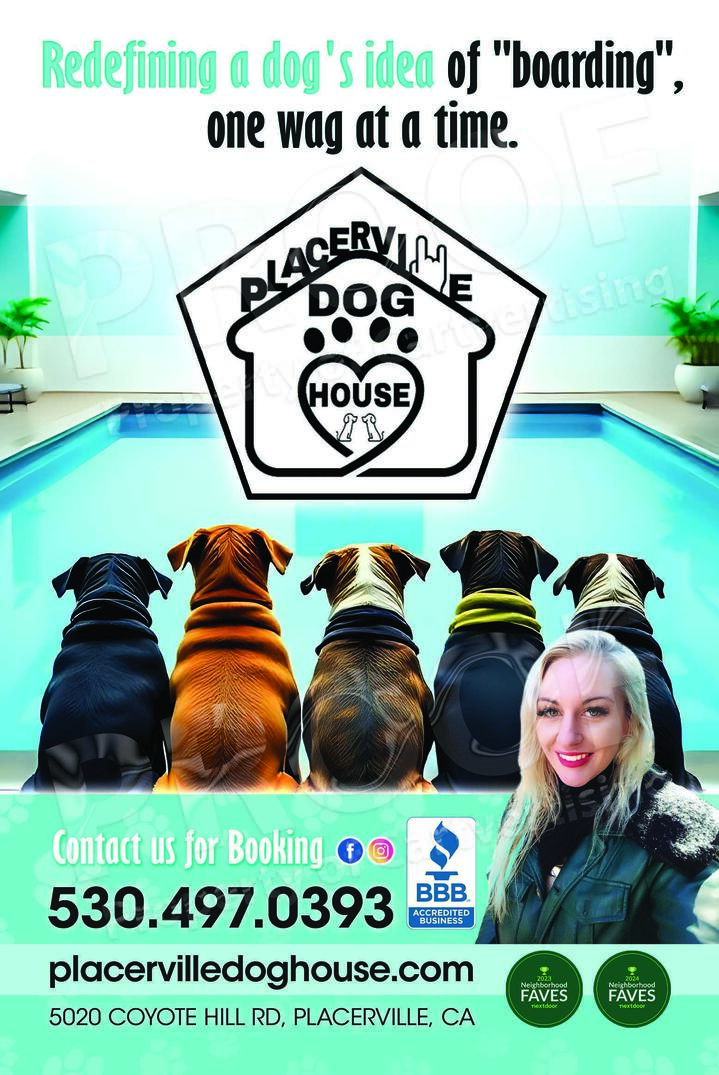 Placerville Dog House