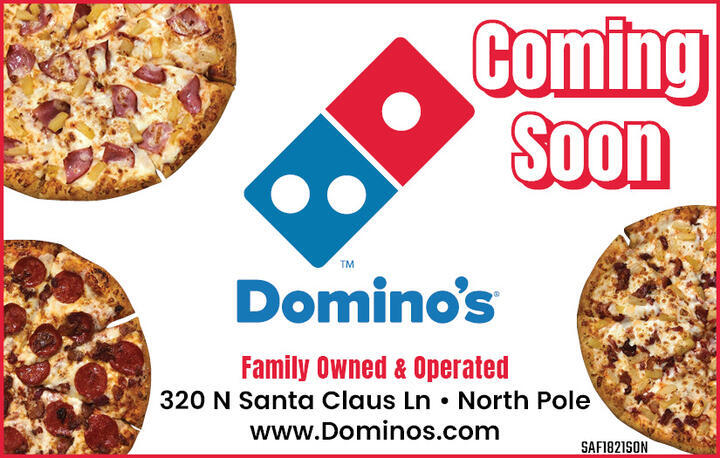 Domino's Pizza - Northern Pizza Group LLC