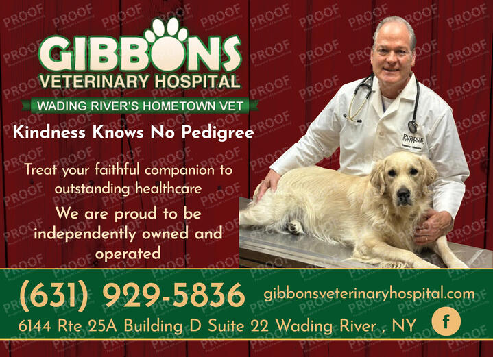 Gibbons Veterinary Hospital