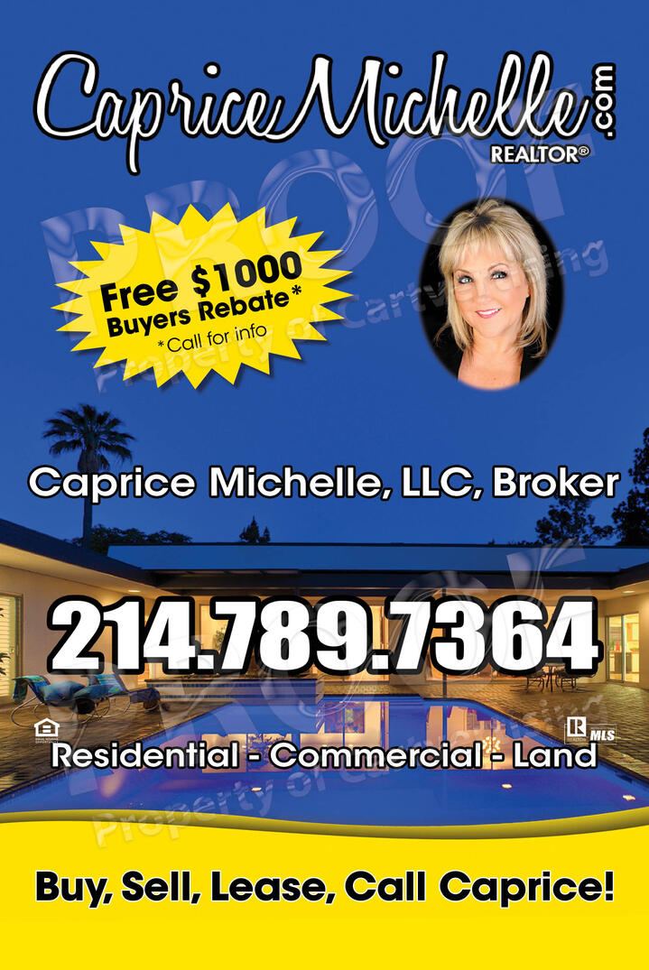 Caprice Michelle LLC