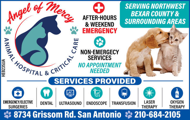 ANIMAL HOSPITAL